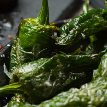 Pimientos de padrón - Restaurante en Teguise, Lanzarote - El recoveco de NaRa